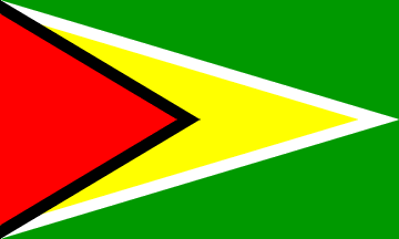 Nationale vlag, Guyana