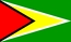 Nationale vlag, Guyana