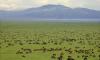 5 DAYS SAFARI: LAKE MANYARA, SERENGETI & NGORONGORO CRATER