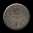 25 bututs 0.25