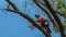 Rotherham Tree Services