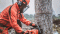 Leicester Tree Services