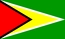 Nationale vlag, Guyana