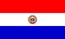 Nationale vlag, Paraguay