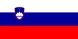Nationale vlag, Slovenië